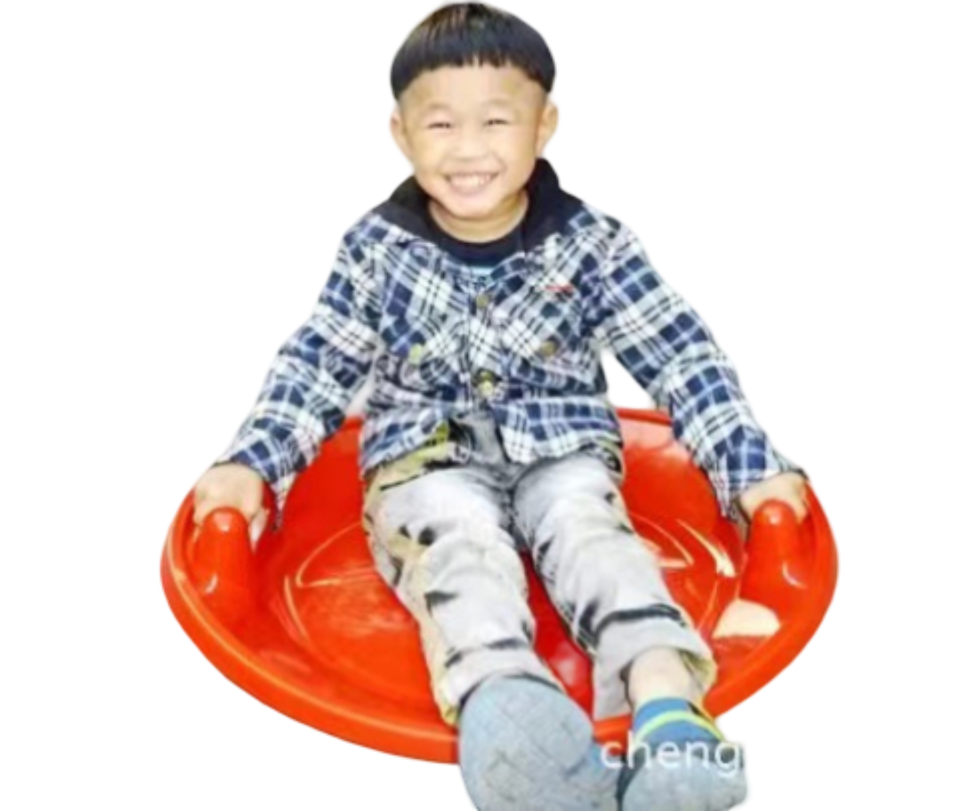 Round Snow Sled Disc