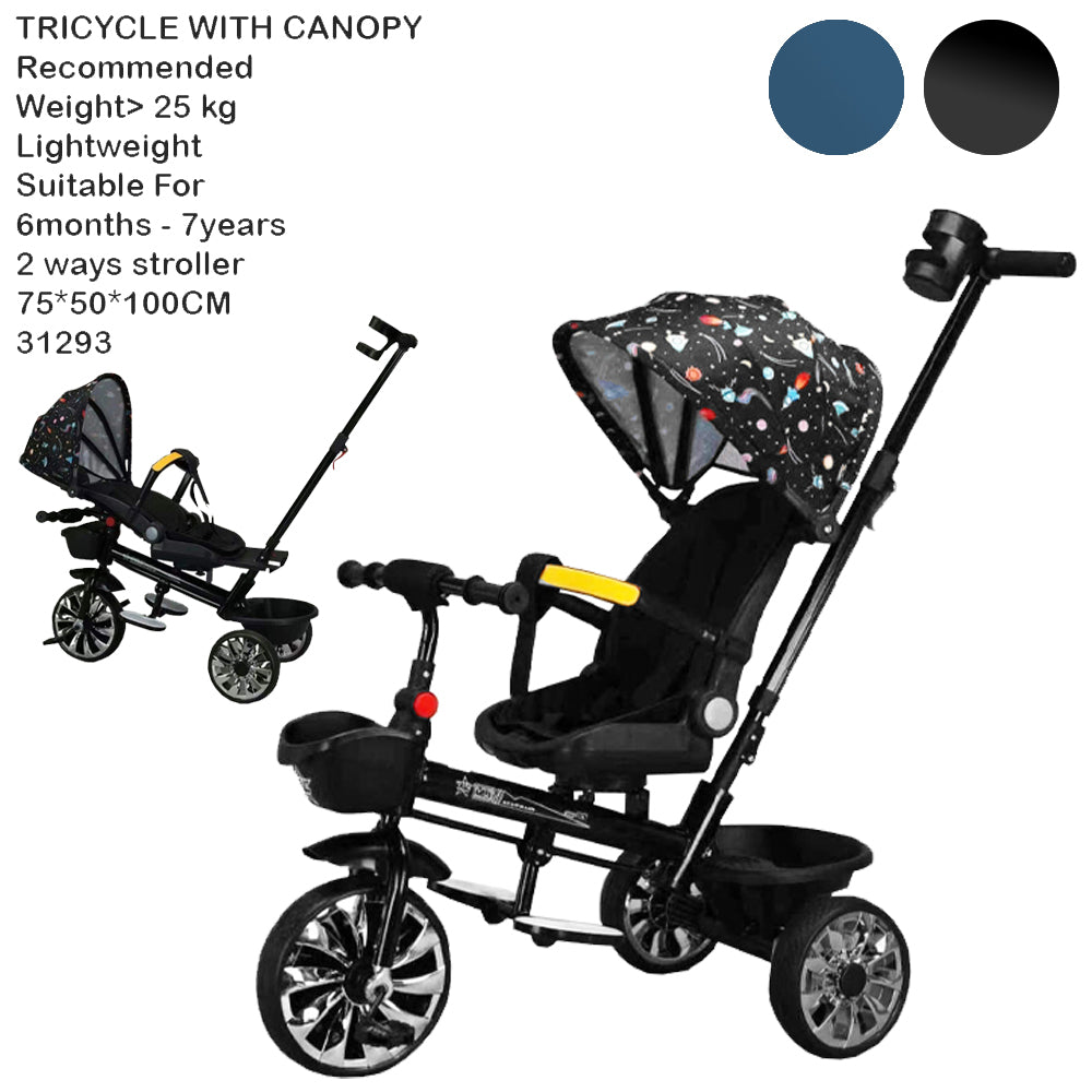 baby tricycle
