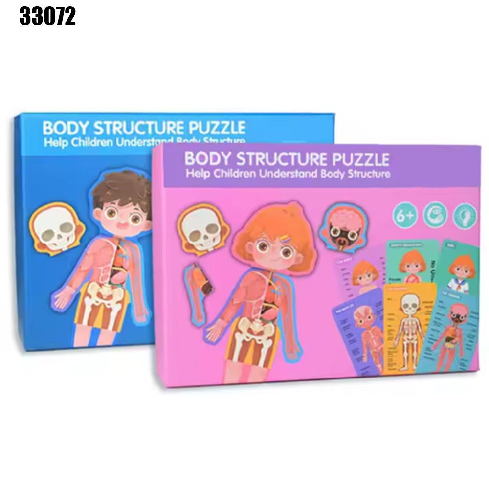 Body Structure Puzzle
