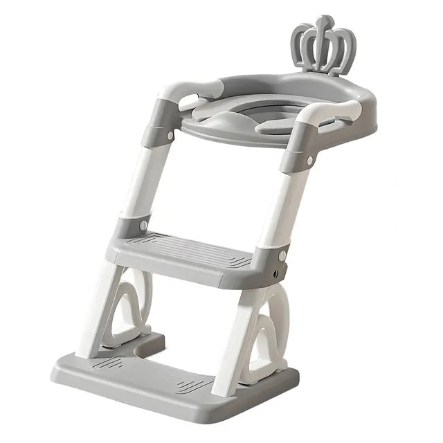 2-in-1 Potty Training Toilet Seat with Ladder