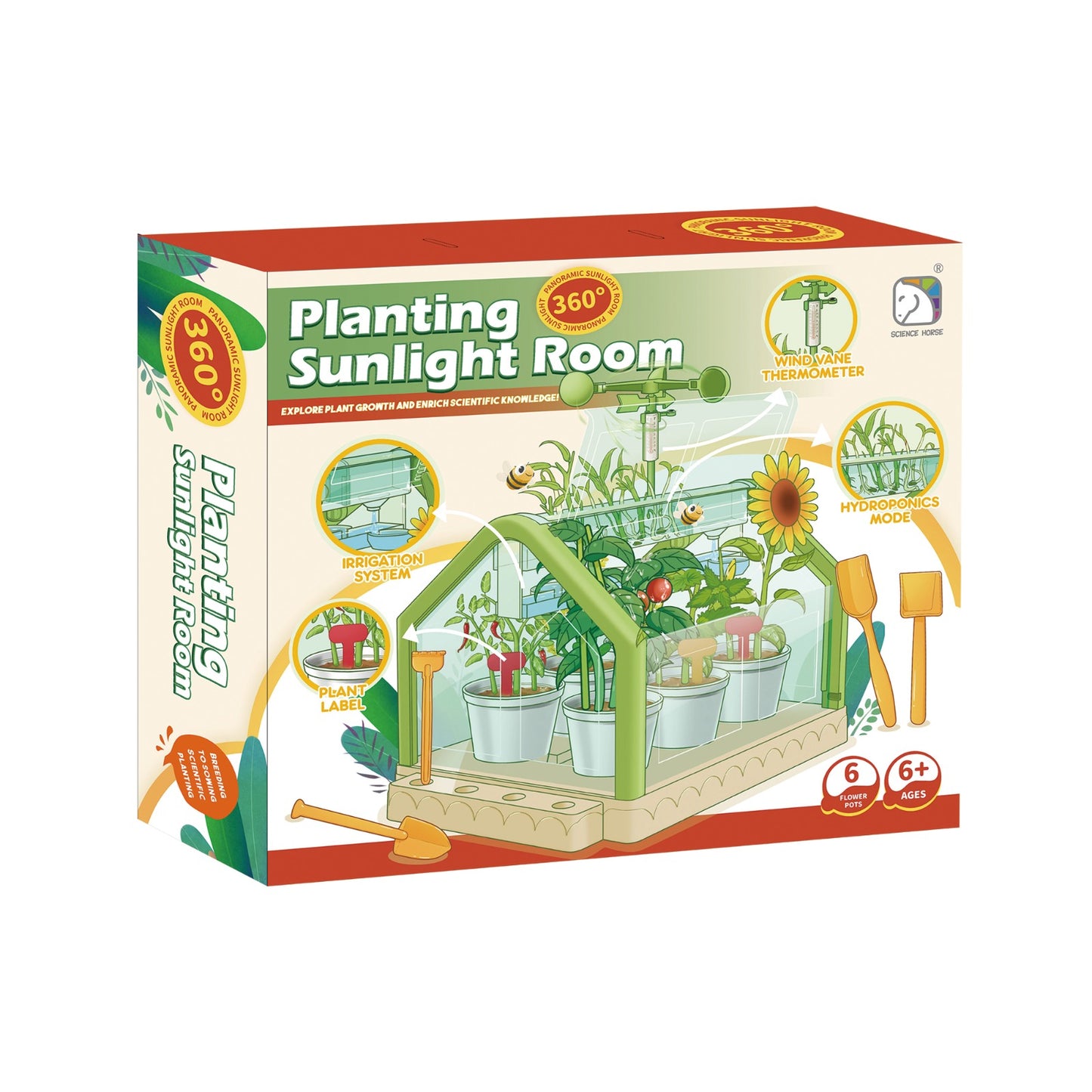 Planting Sunlight Room