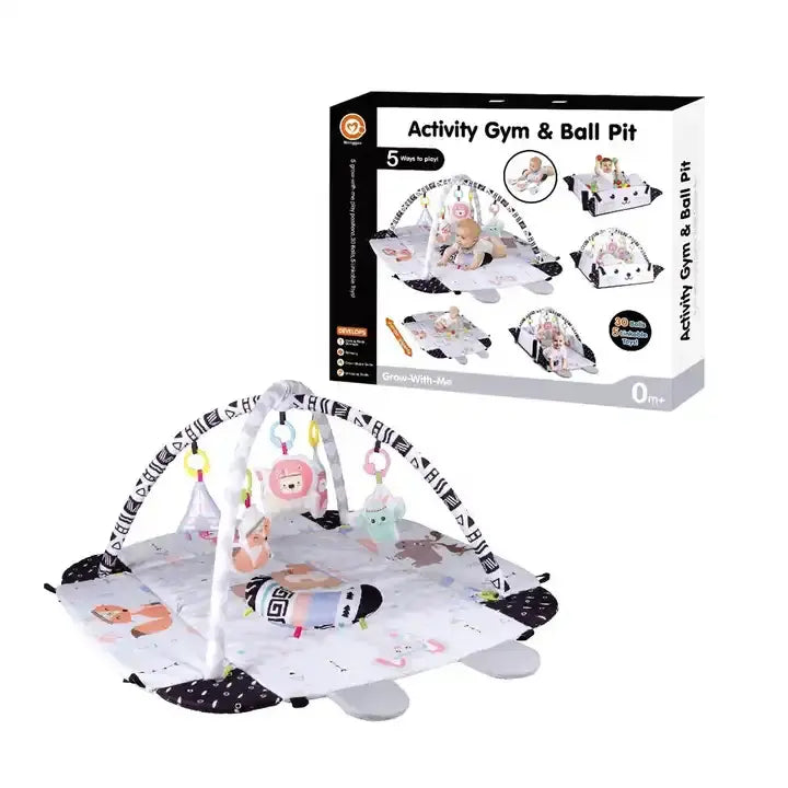 5 in 1 play gym active set