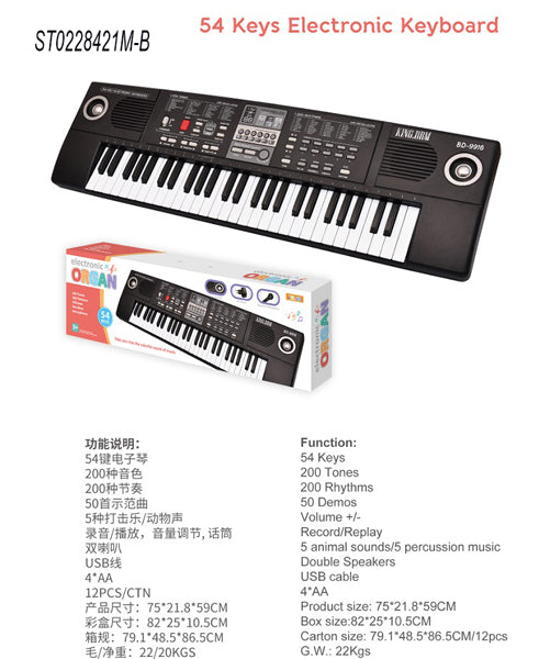 54 Keys Electronic Keyboard