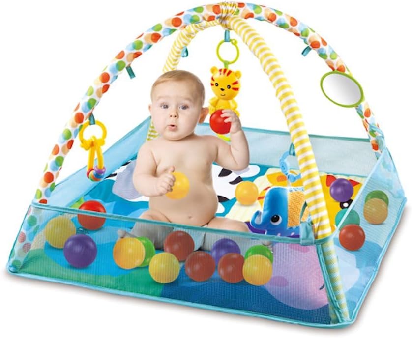 BAby Activity Gym Ball Pit