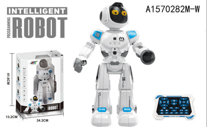 Intelligent Programming Robot