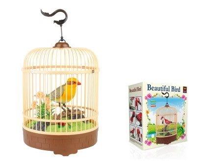 Beautiful Bird Cage