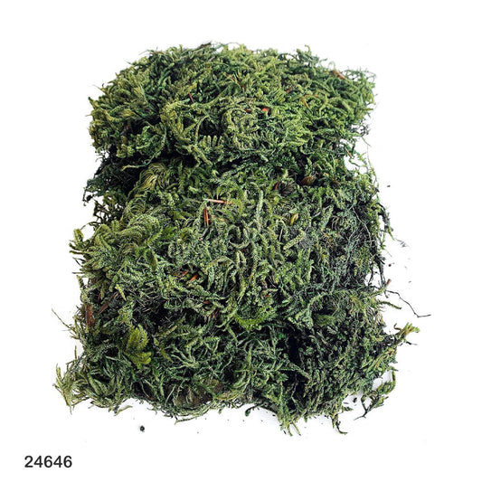 Green Moss for Christmas Decoration