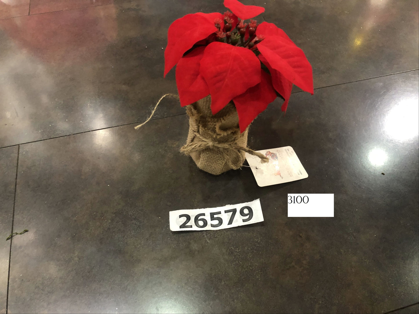 Small Poinsettia Christmas Flowerpot