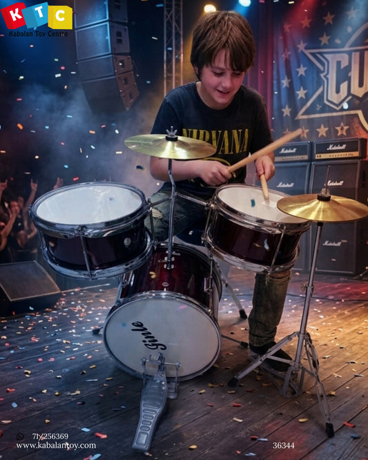 Professional Drums