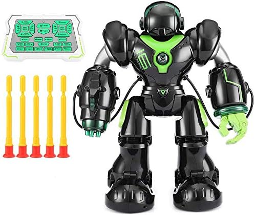 R/C Warrior Robot