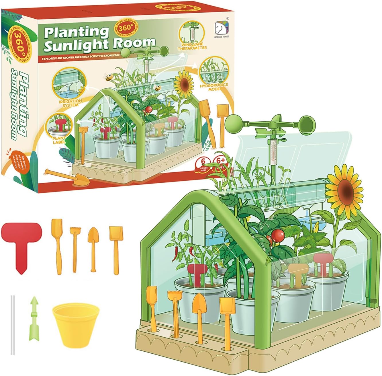 Planting Sunlight Room