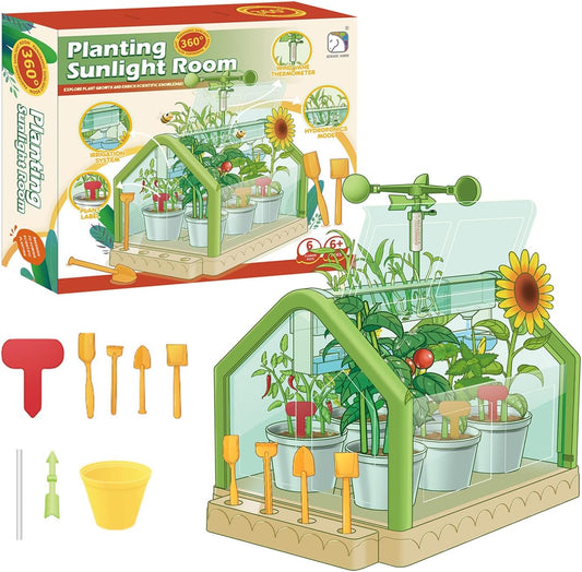 Planting Sunlight Room