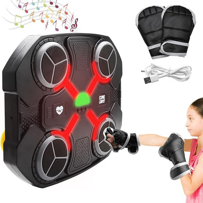 boxing set with gloves