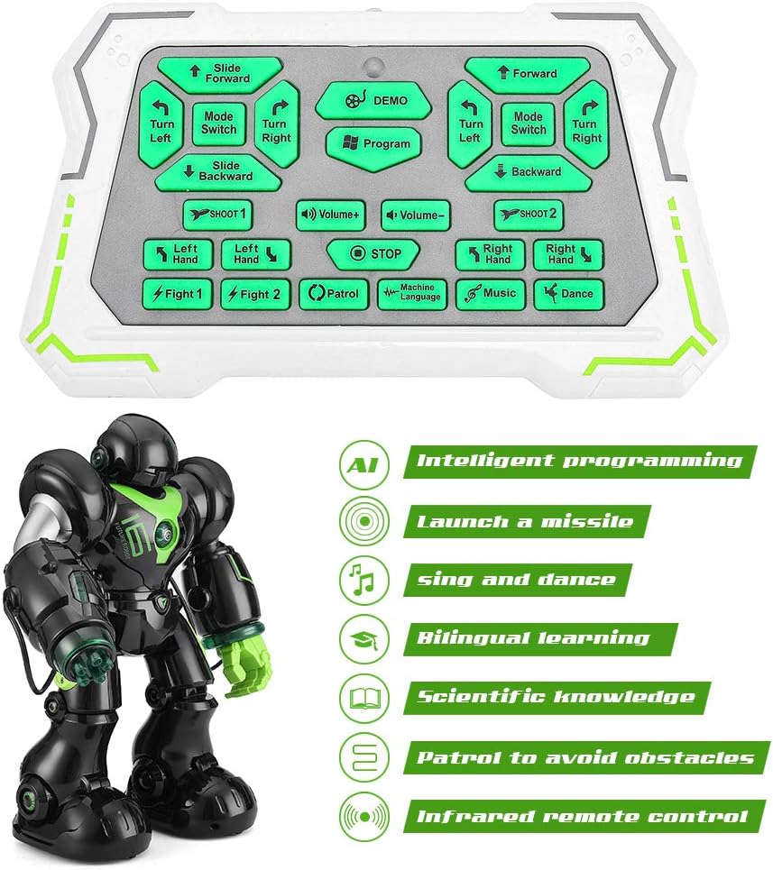 R/C Warrior Robot