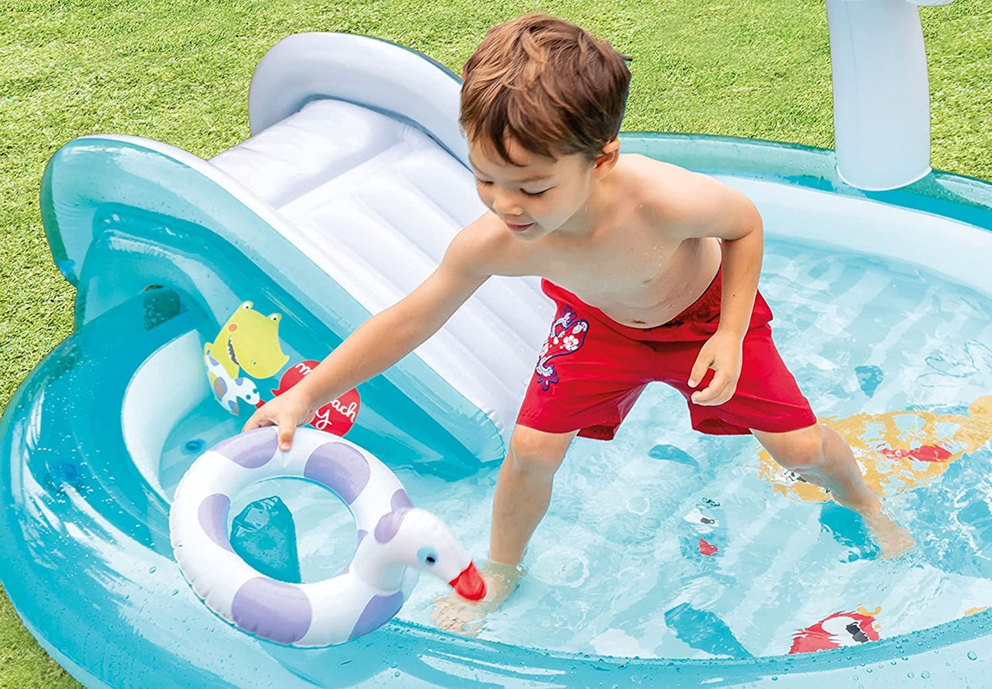 inflatable Swimming Pool