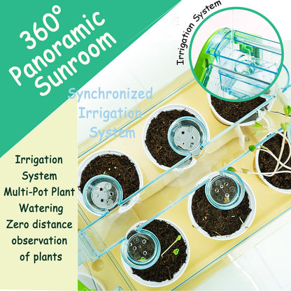 Planting Sunlight Room