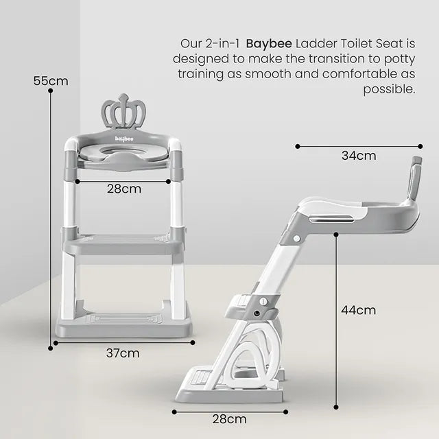 2-in-1 Potty Training Toilet Seat with Ladder