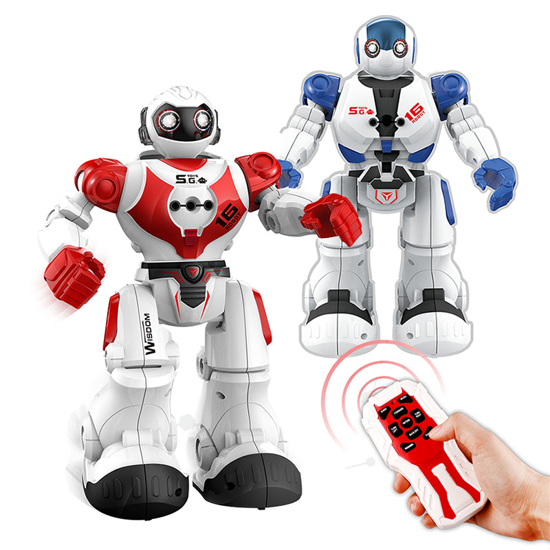 Bots Wisdom Robot Toy