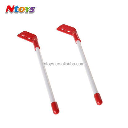 2-in-1 Ice Hockey Game