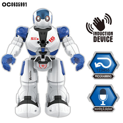 Bots Wisdom Robot Toy