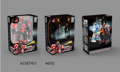 Remote Control Robot Toys