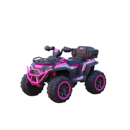 Electric Car with 4-Wheel Drive Motors 12V