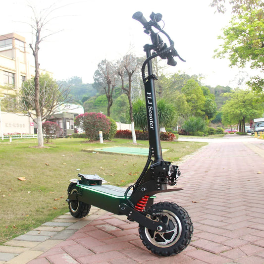 professional electric scooter