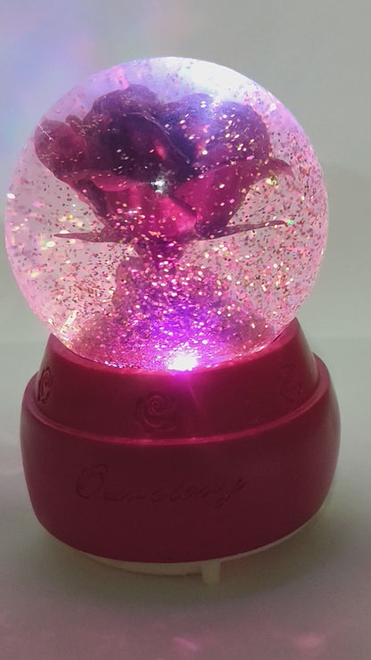 Red Rose Snow Globe Music Box