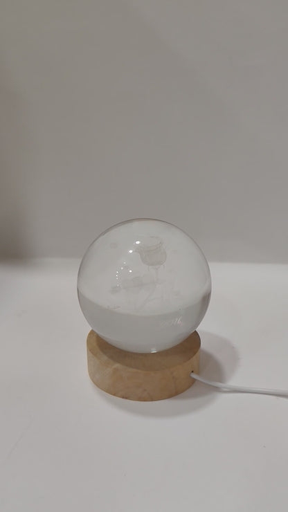 LED Rose “Love You” Glass Globe Lamp